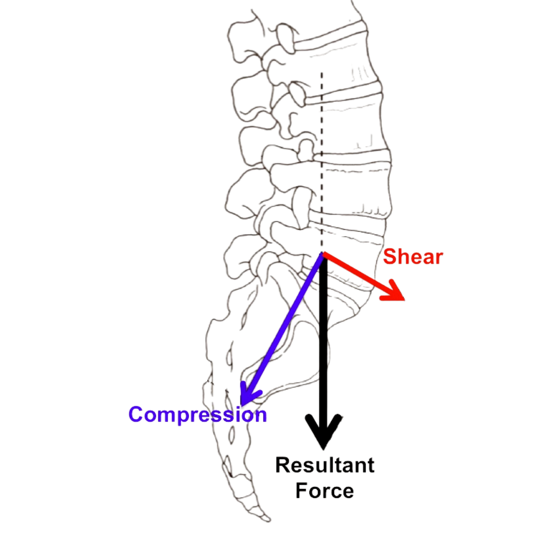 Spine Rounding Is It Bad to Round Your Spine When Lifting (or in Yoga)? — Jenni ...