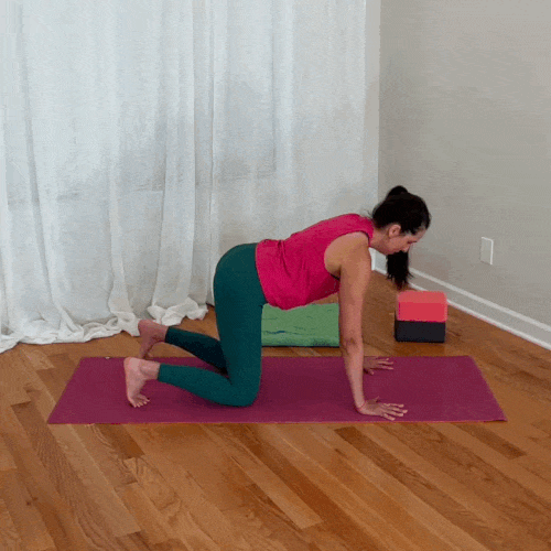 Jenni demonstrates shoulder blade push-ups, alternating between scapular protraction and retraction while keeping her elbows straight.