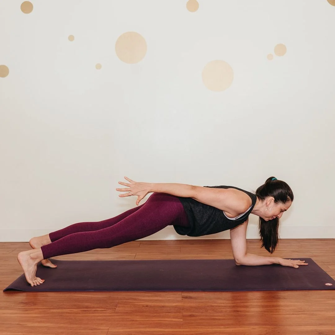 forearm plank core stability exercise