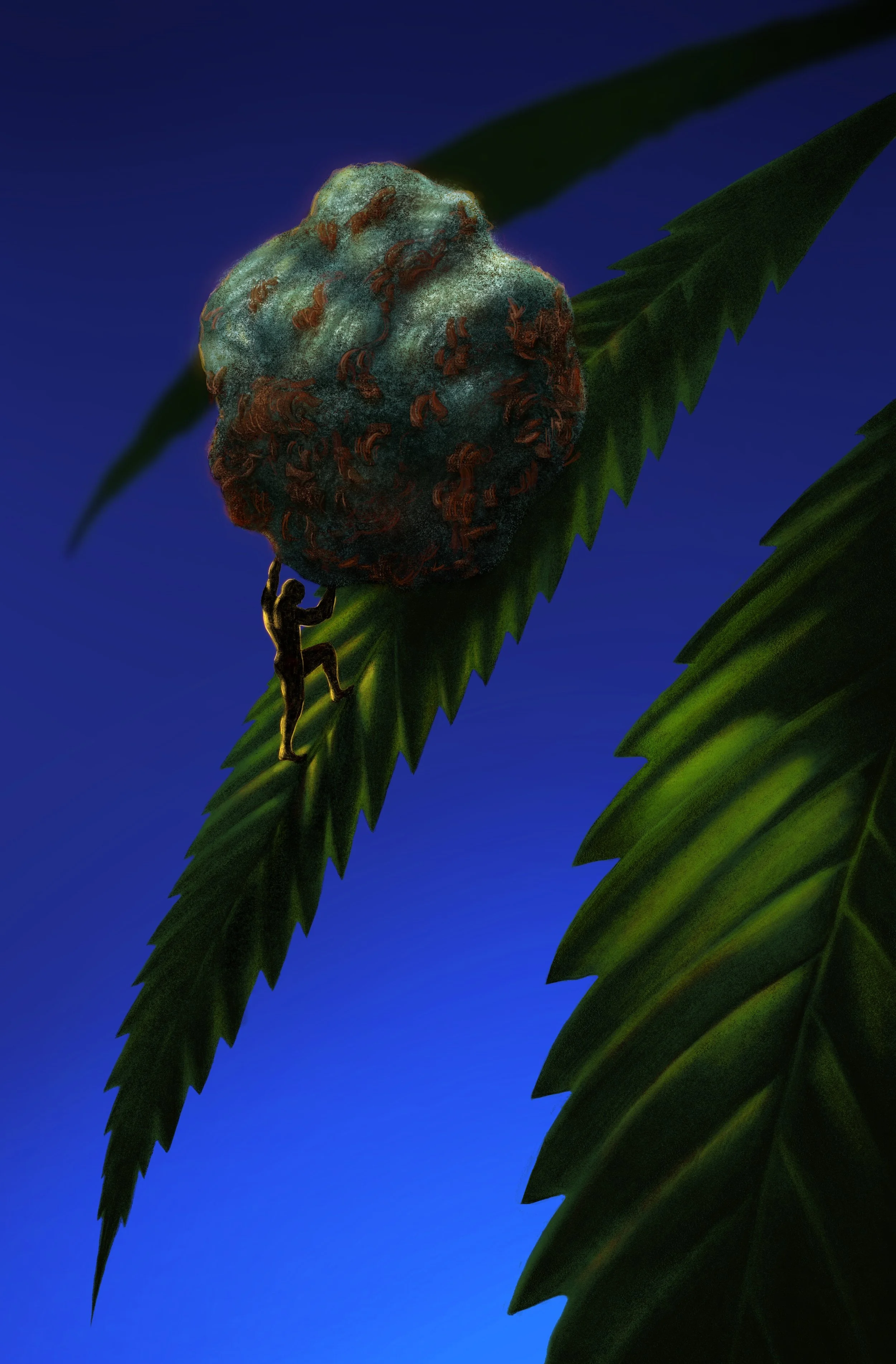 BAFFLER_MW_WEED.jpg