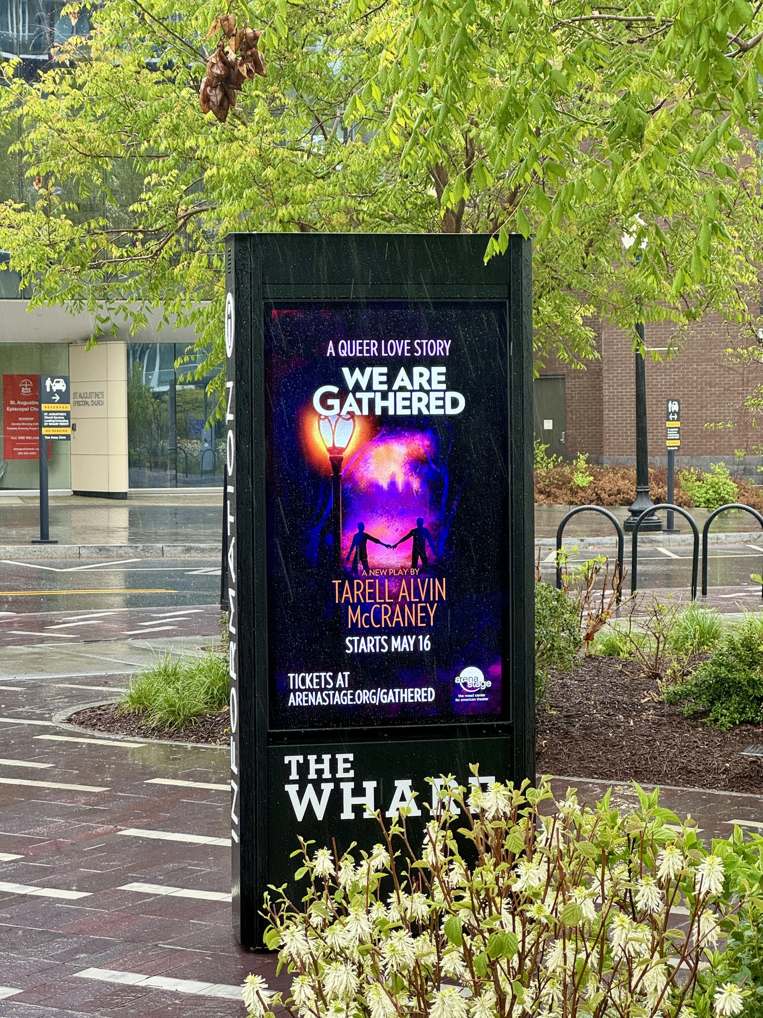 WAG wharf photo[61].jpeg