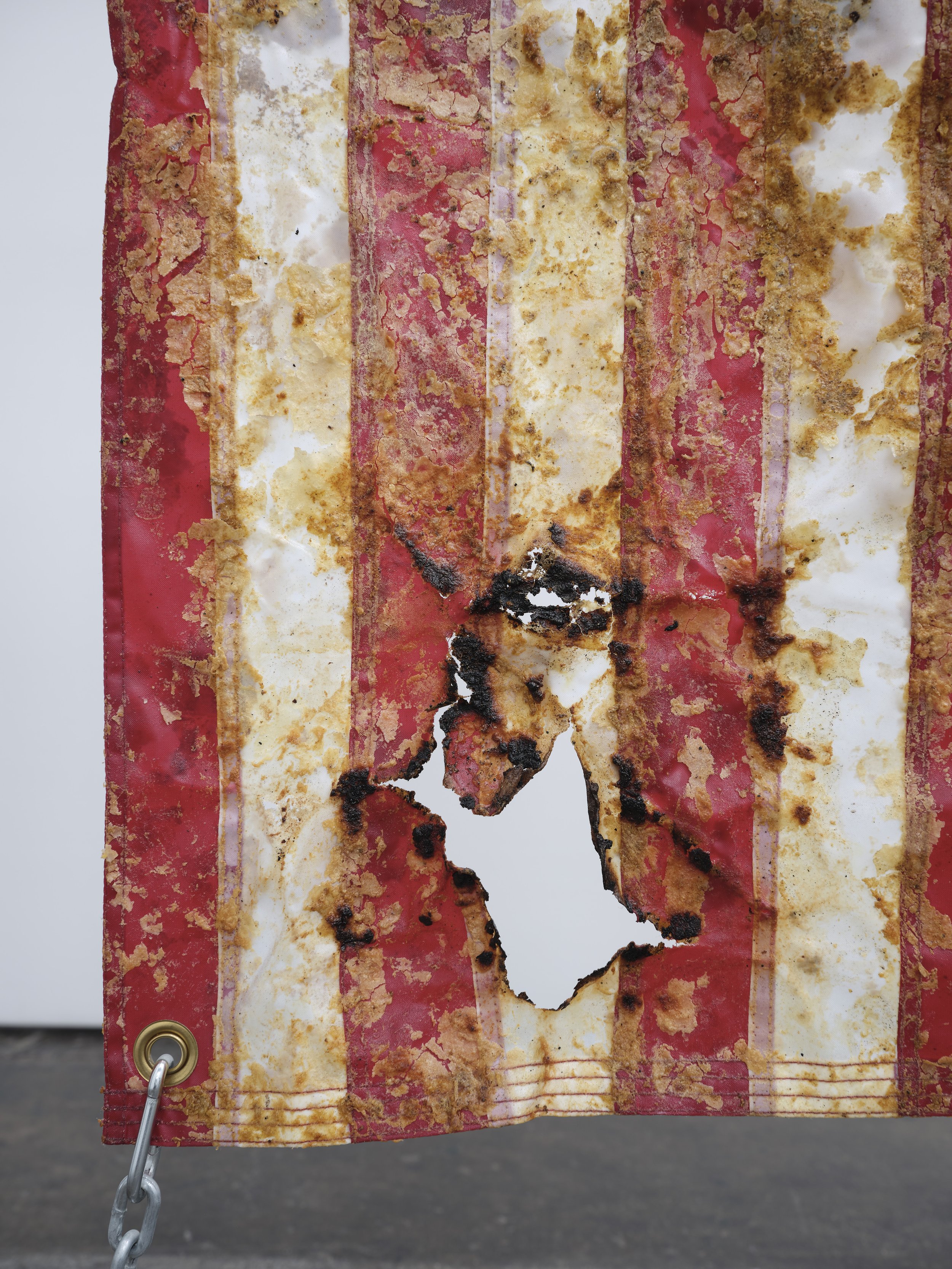 Fried and Suspended Flag (Detail)