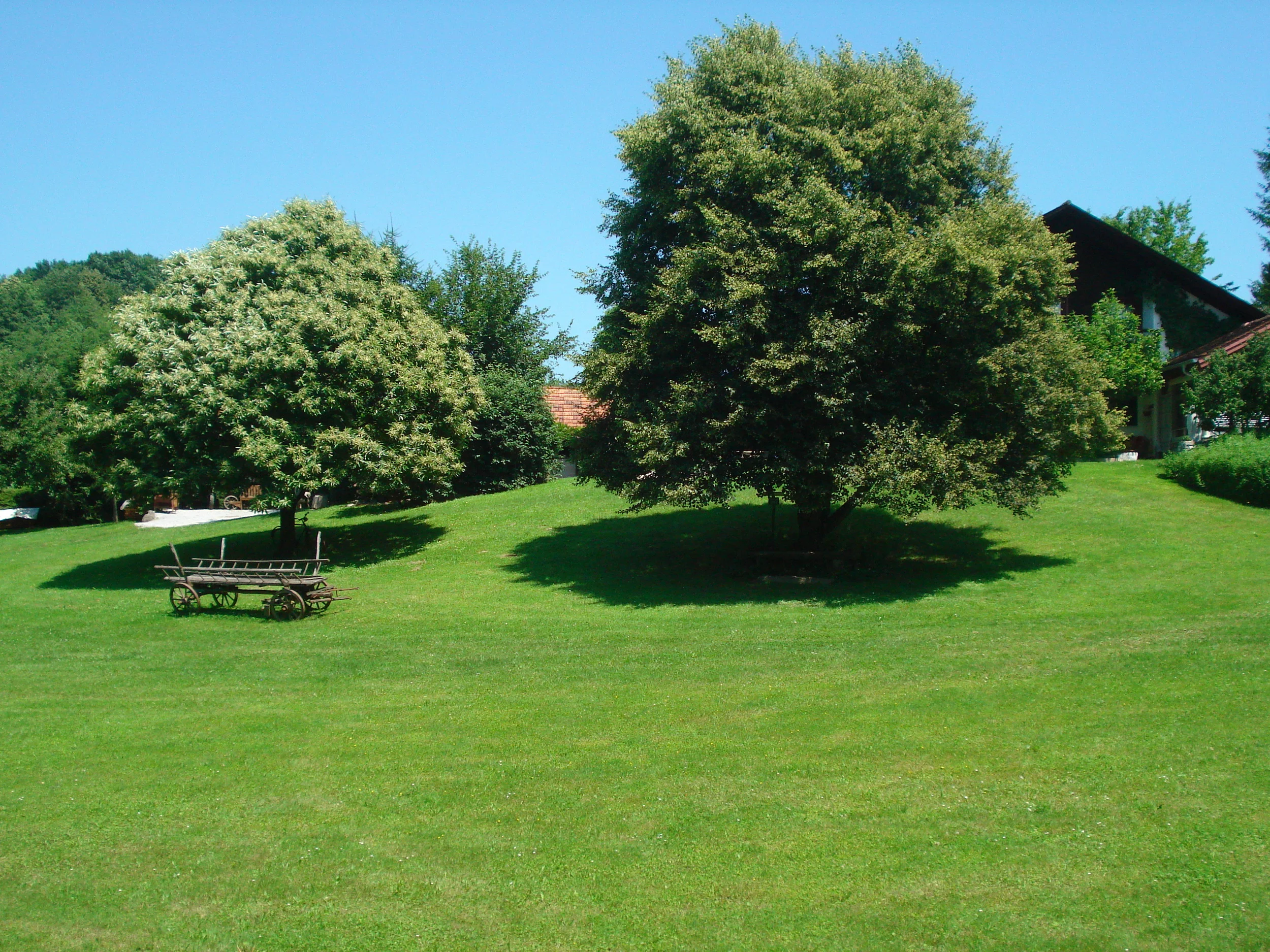 Garten1.JPG
