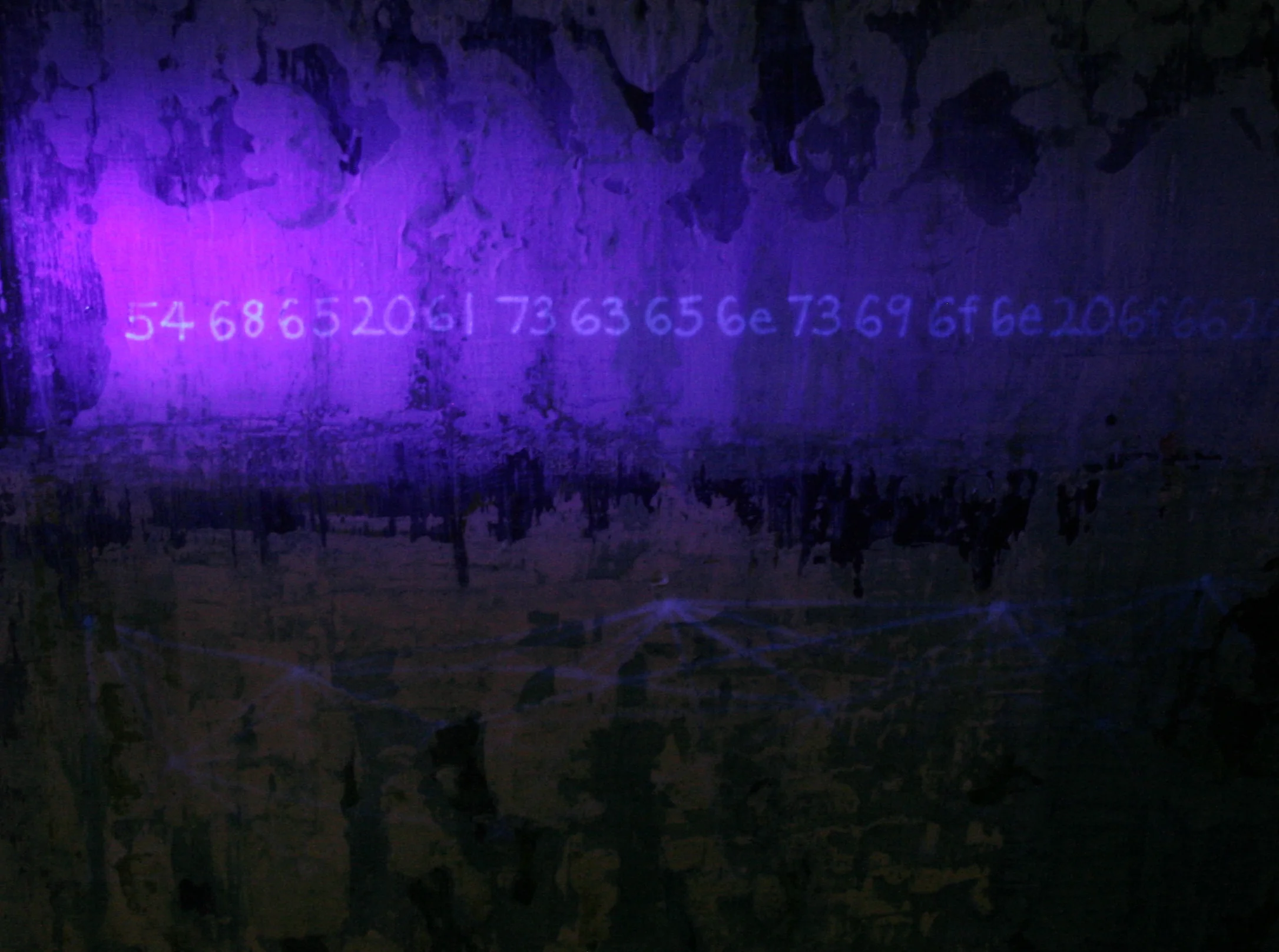 Copyright © 2013 Mary Bottini &nbsp;&nbsp;All rights reserved.