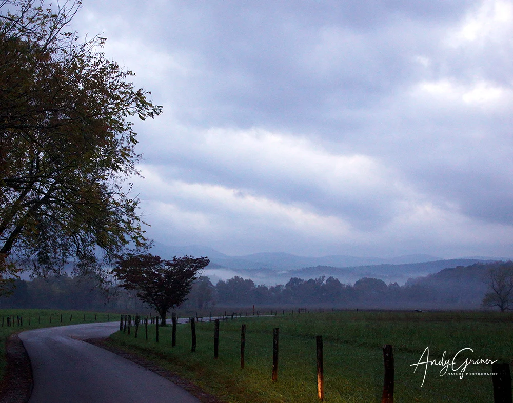 Cades Cove -1