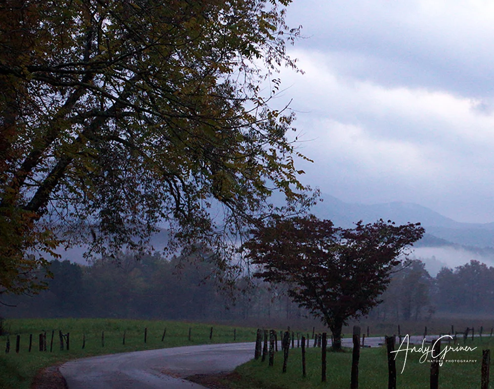 Cades Cove-2