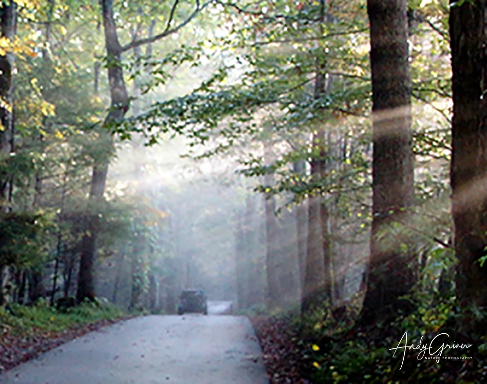 Cades Cove-4