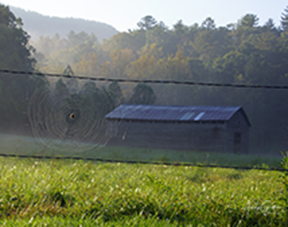  Cades Cove-5 