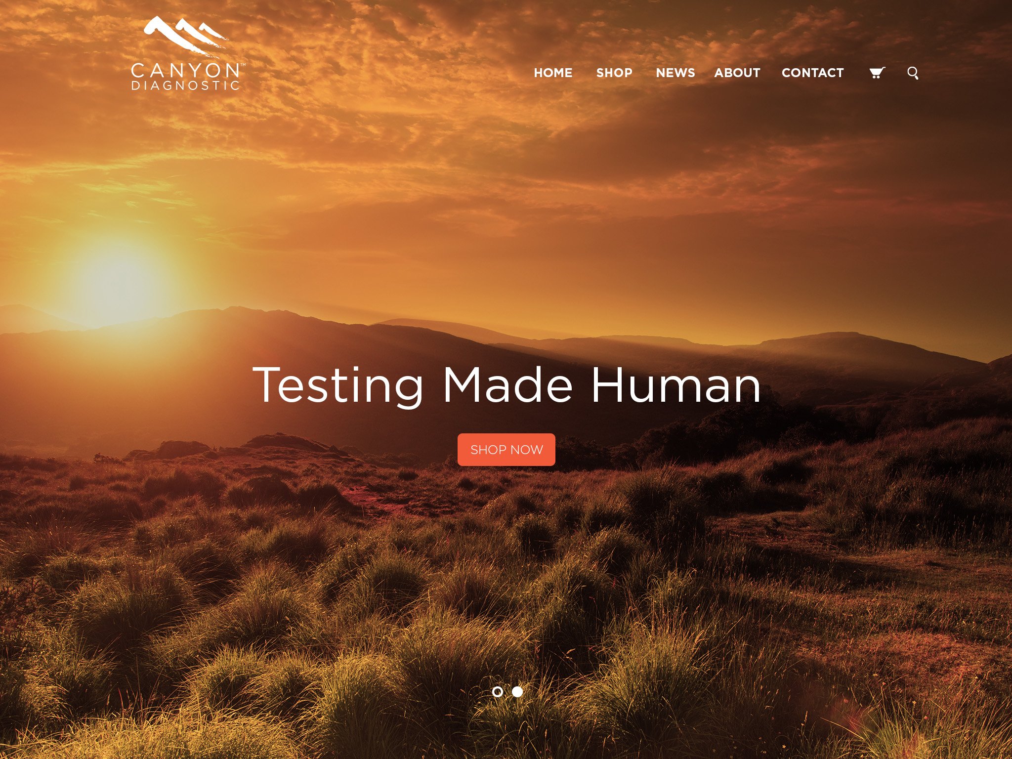 Website samples_v2.jpg