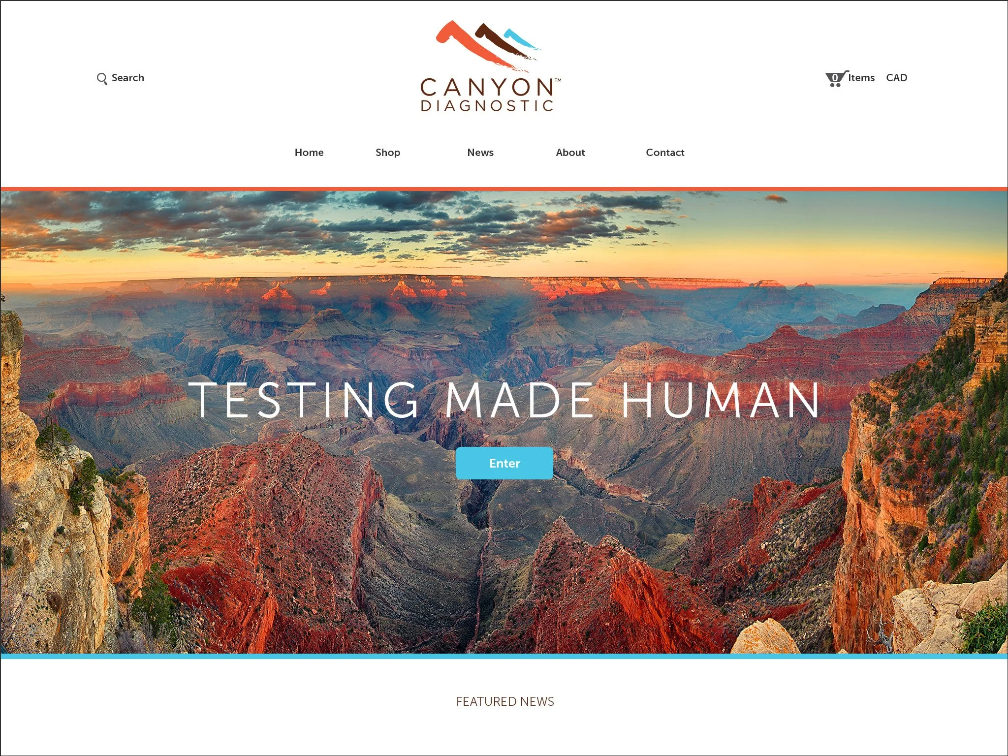 Website samples_v3.jpg