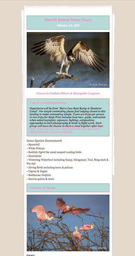 Screen Shot 2019-01-04 at 4.17.12 PM.png