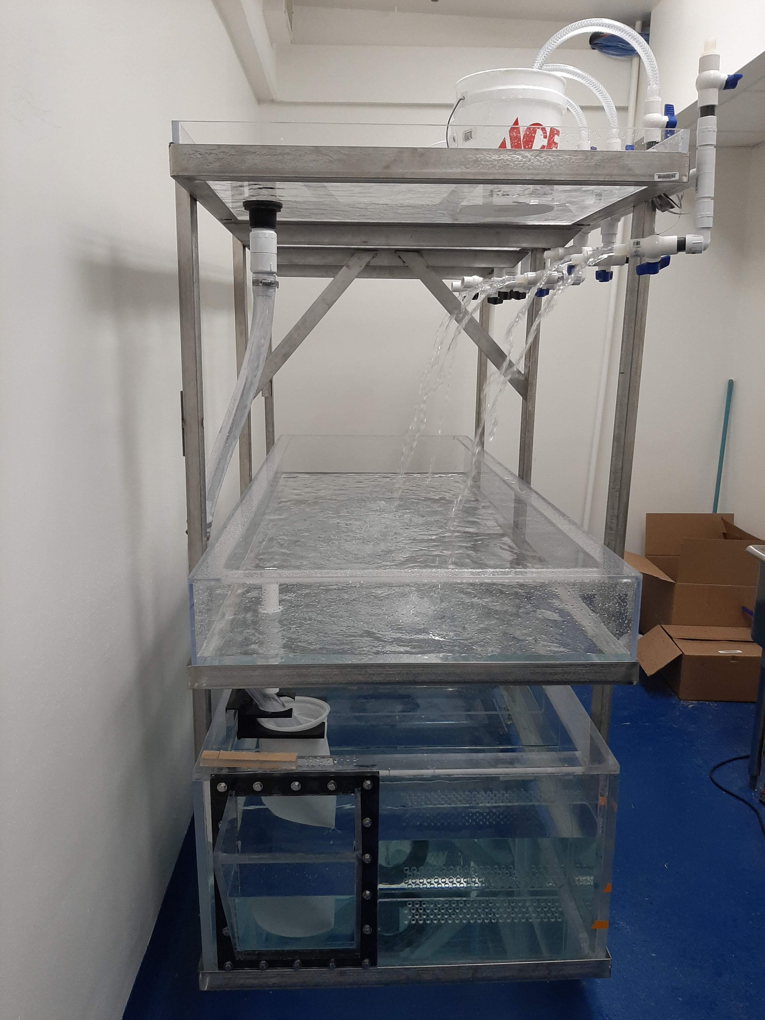 Saltwater Tank System for Waldrop Lab at Chapman University