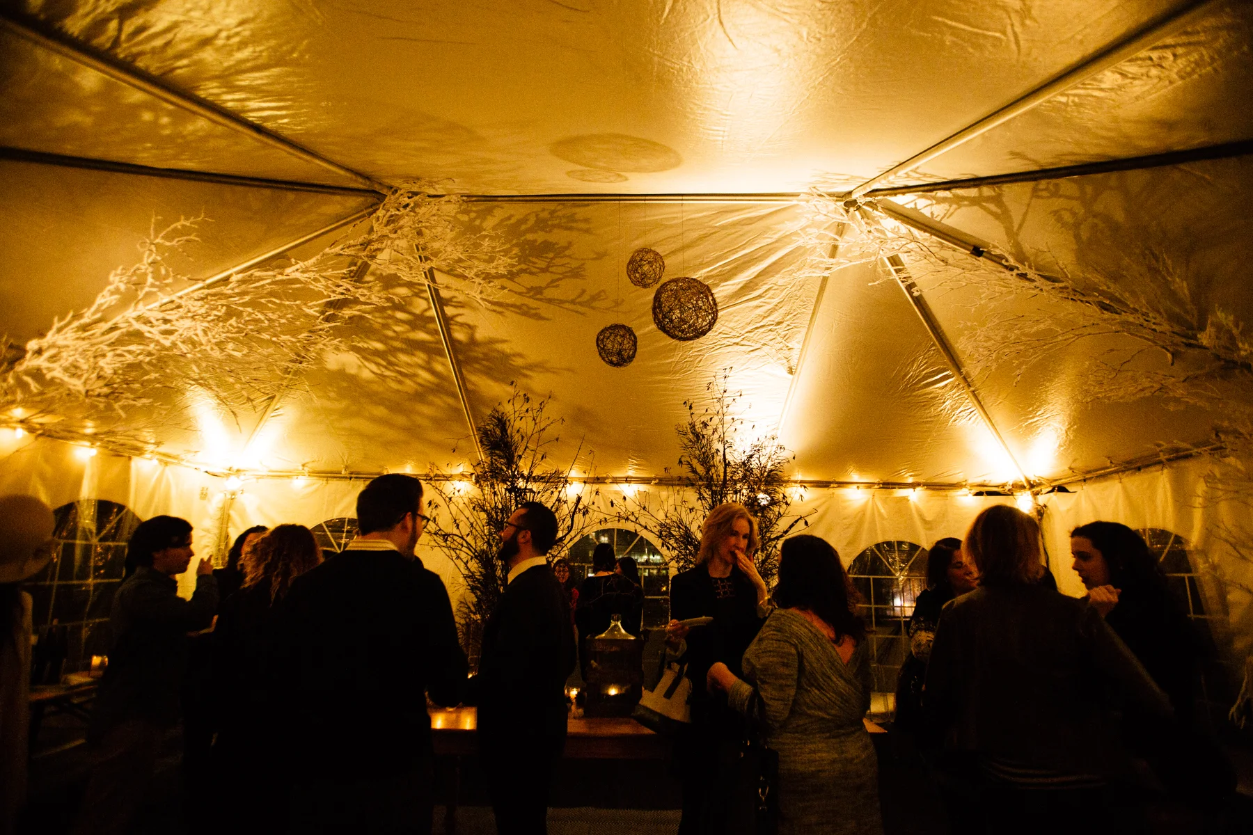 RoofTopReds-Entwined-IceWine-464.jpg
