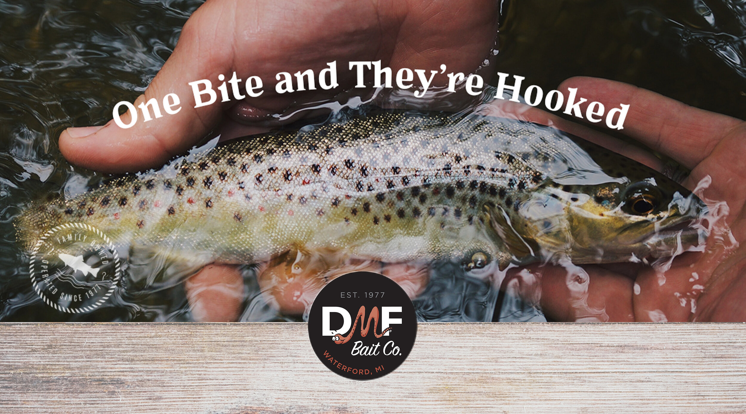 DMF-Header-2880.jpg