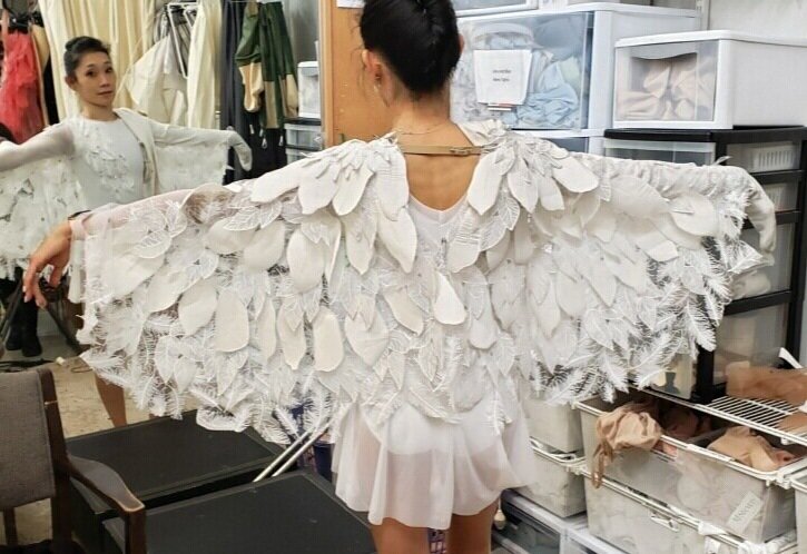 Albatross Wings