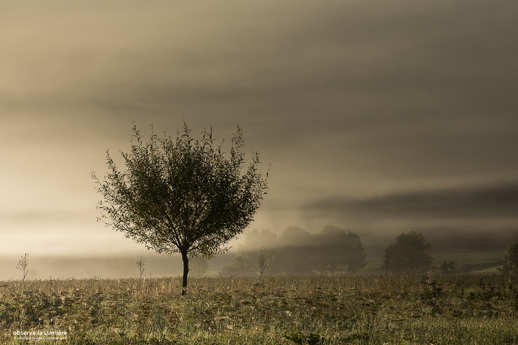 L'automne arrive
