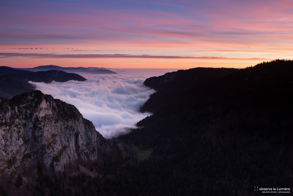 Couleurs de l'Aube au dessus de la Brume