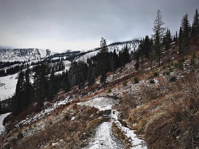 Bridge to the promise land. #snow #schweitzermountain #schweitzerlife #hiking #hikingadventures #fallcolors #mountains #trail