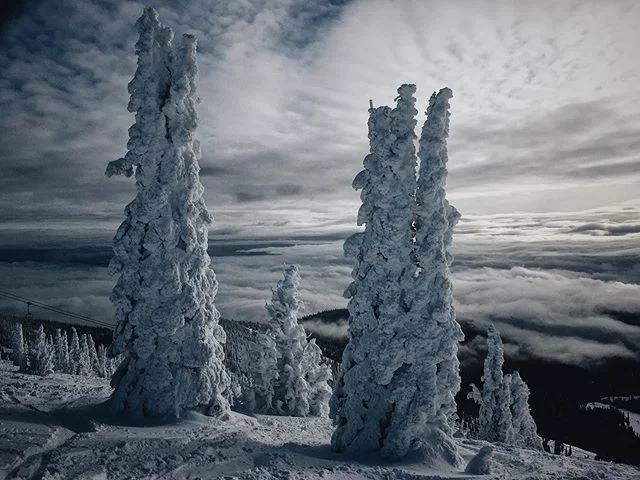 Snowghosts Inview. #snow #winter #snowghosts #schweitzerlife #schweitzer #schweitzermountain #idaho #trees #mountains  #mountainlife #snowboarding