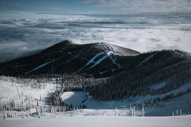 Dinosaurs 🦕. #spines #mountains #snow #powderday #schweitzerlife #schweitzermountain #snowboarding #skiing #doubleblackdiamond #winter #winterwonderland