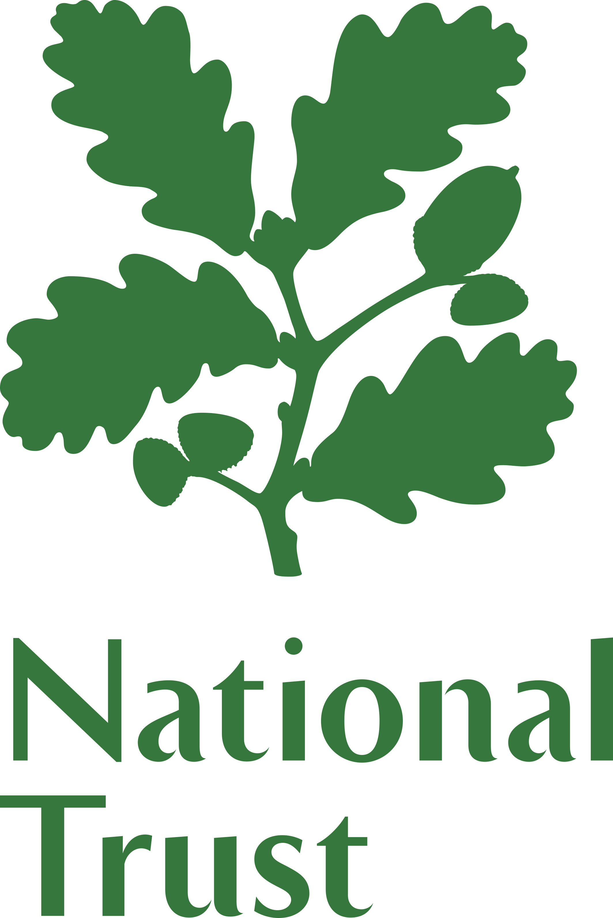NT Logo (Hi-res) (Copy) (Copy)