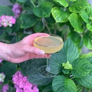 Seven Caves Jasmine Tea Rum Sour