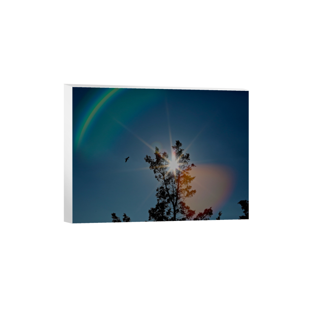 ptq_7_5_138_0_2222_1667_0_false_ffffff_0_0_.png