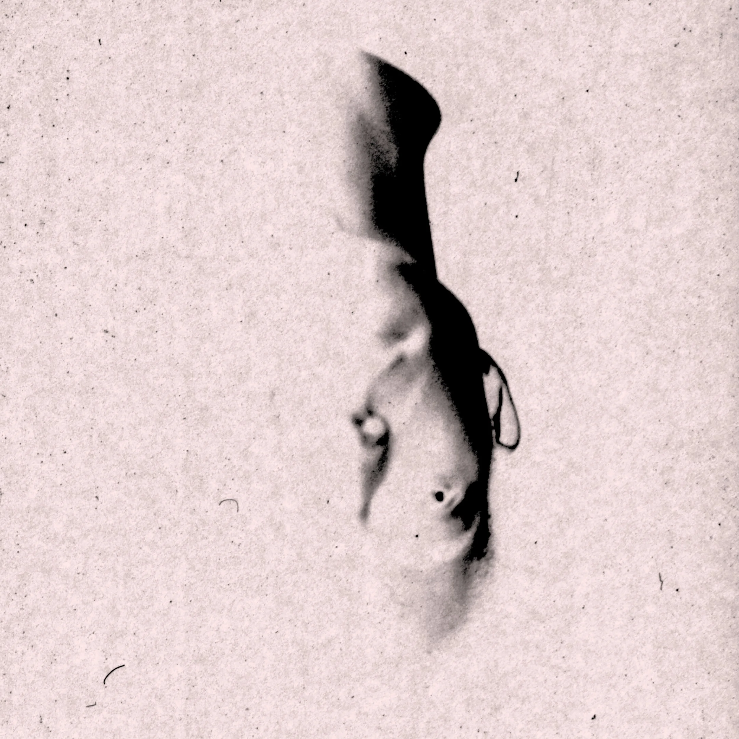 Quinn Oulton - 'Better' (Acoustic)