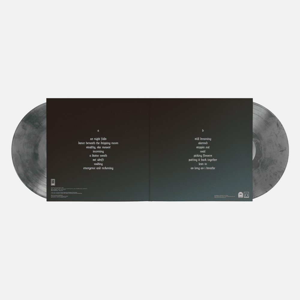 DM028-Gatefold-Colour-2.png?