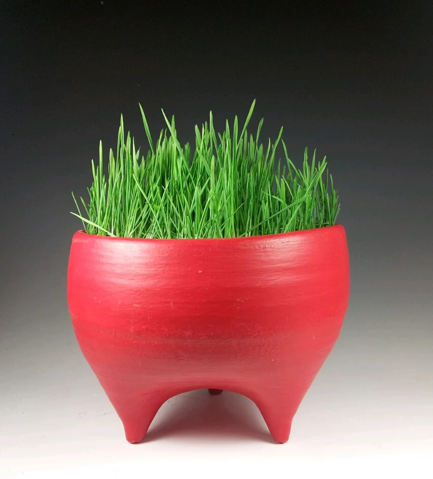 Redribbertripodbowl.jpg