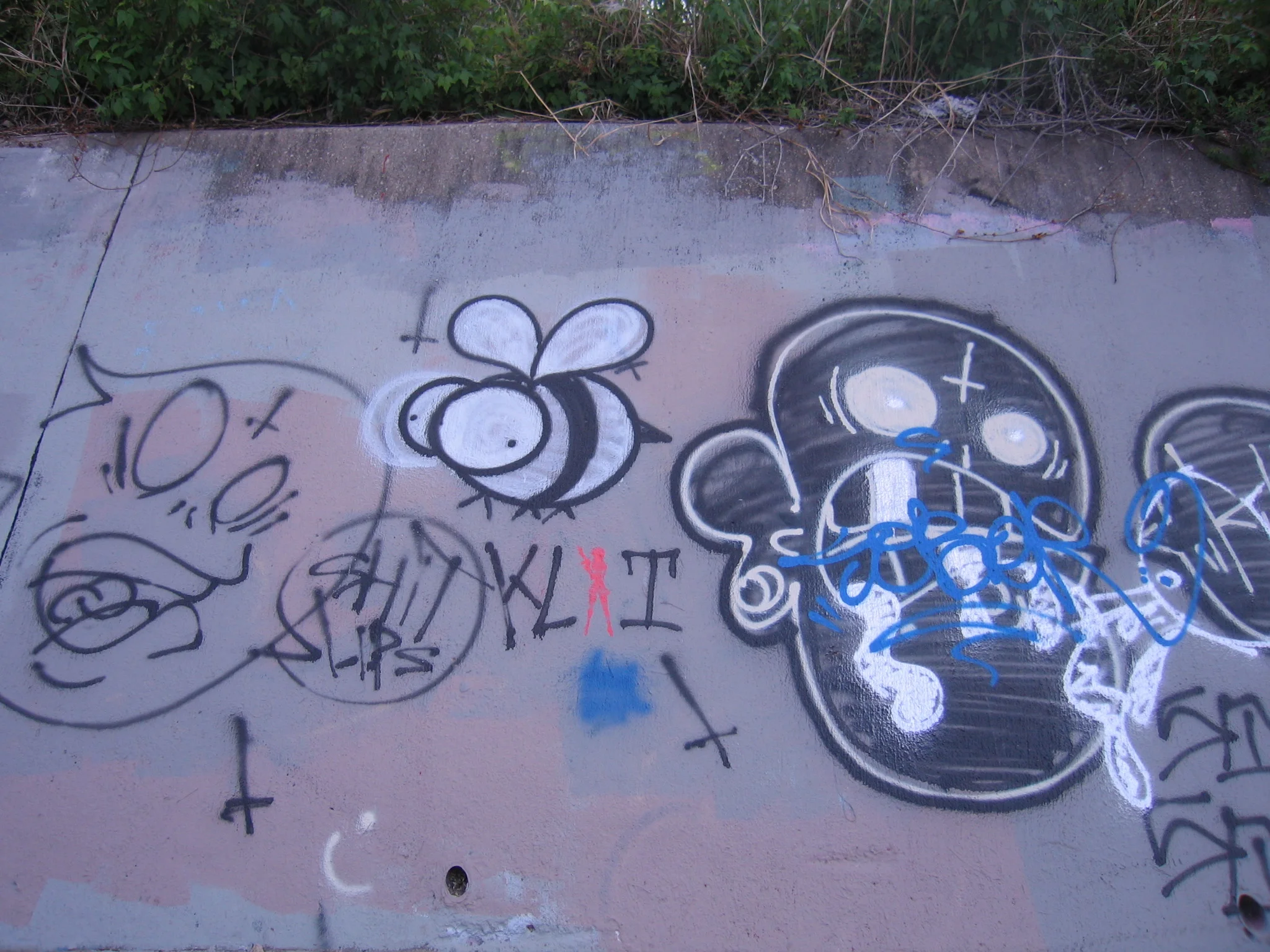 5641981859_dd53c7be99_o.jpg