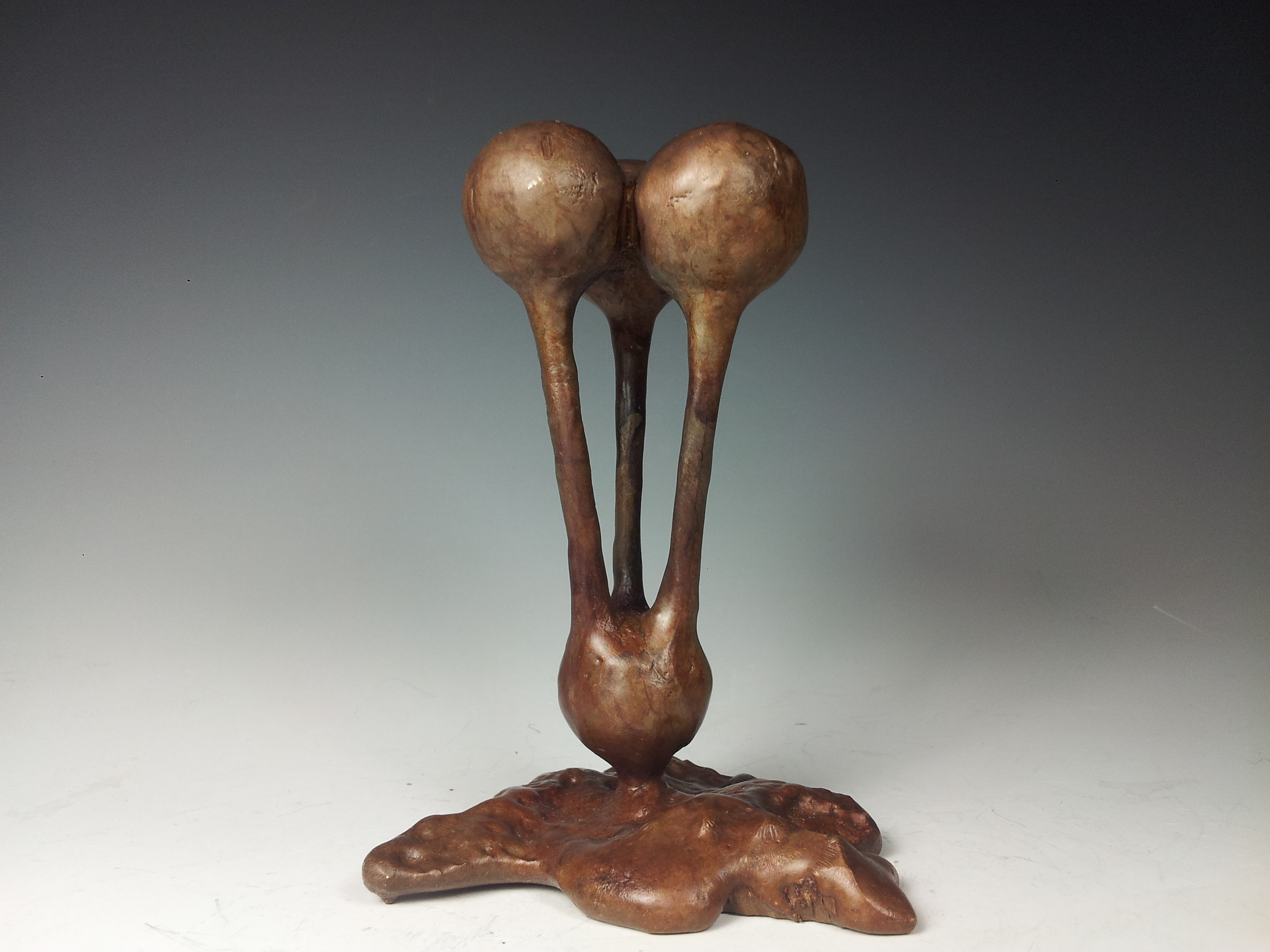 20130206_145920.jpg