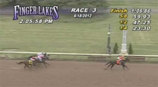 This is Camie's Magic in his old job as a winning race horse. He is the horse way out ahead!