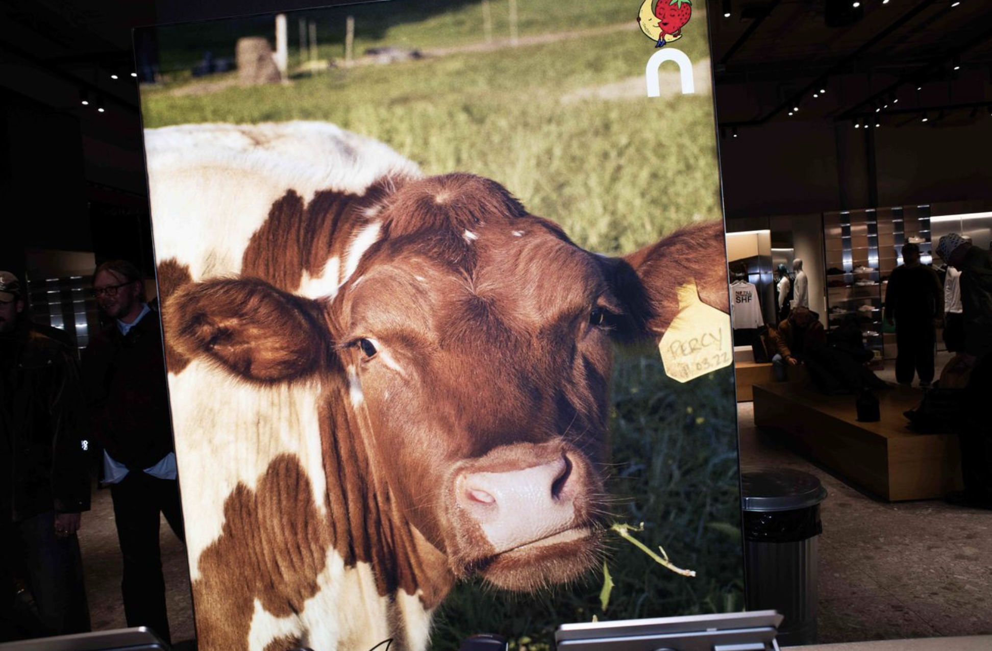 Screenshot 2025-11-24 at 9.51.02 AM.png