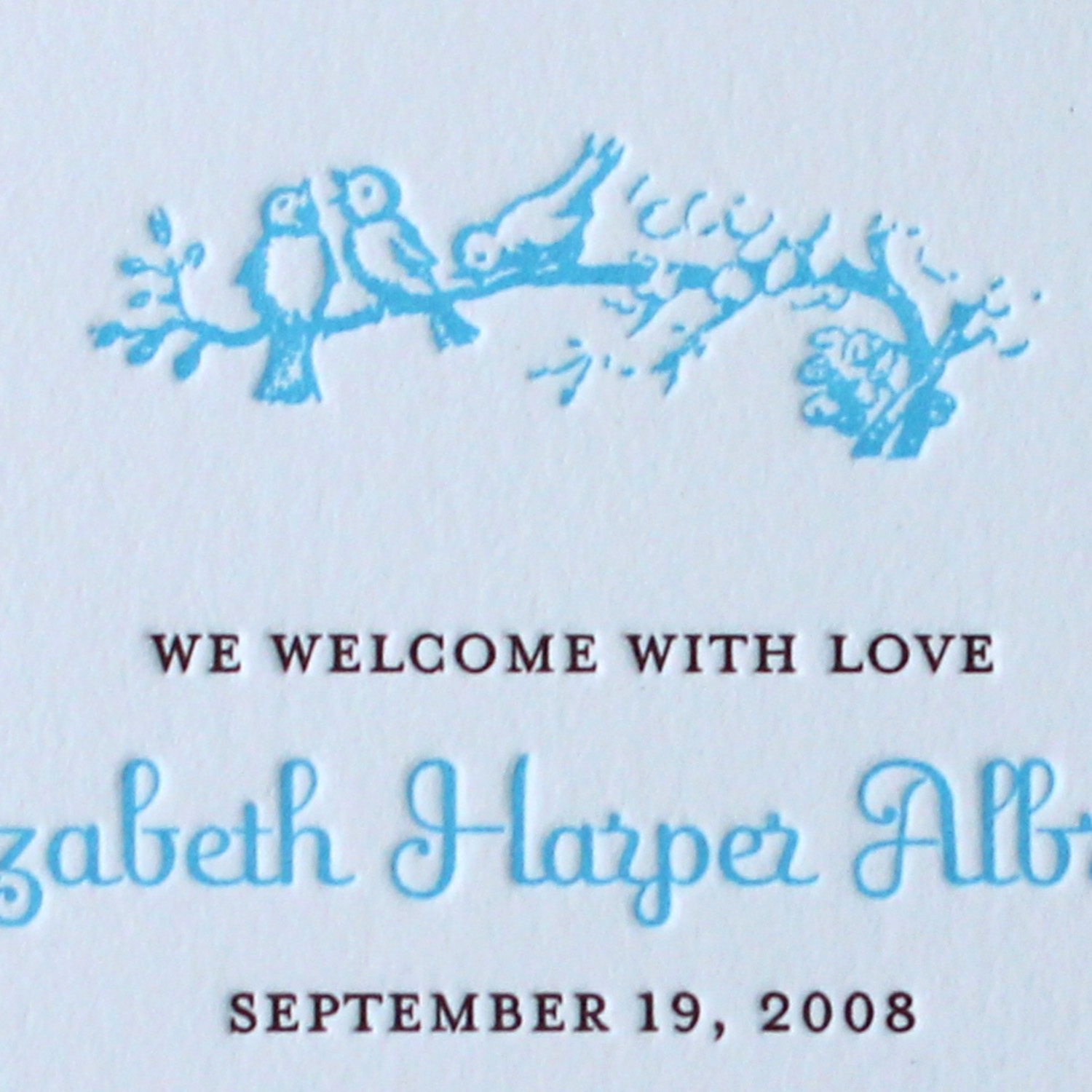 2-Blue-birds-on-branch-Letterpress-Baby-Announcement.jpg