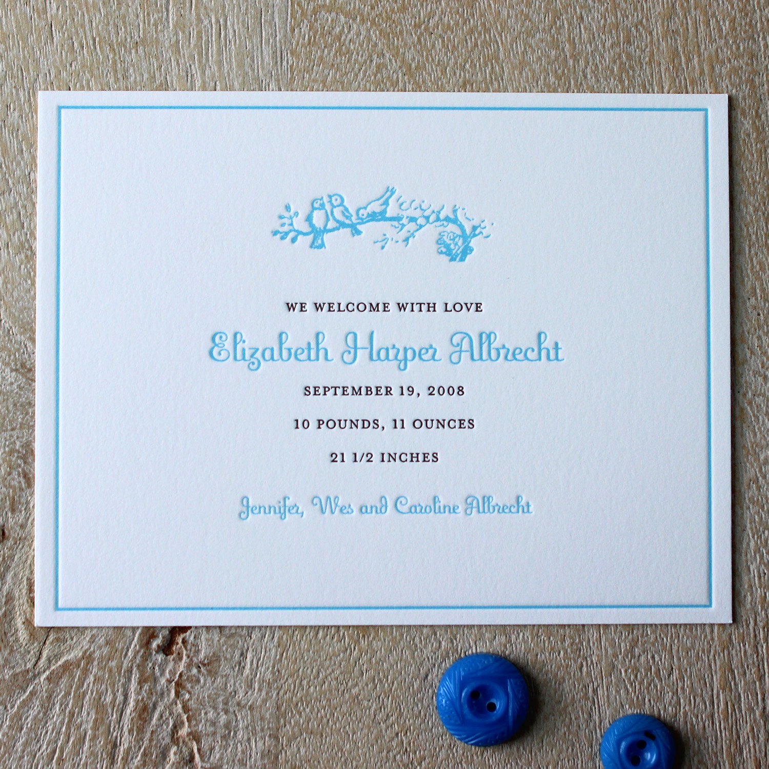 1-Blue-birds-on-branch-Letterpress-Baby-Announcement.jpg
