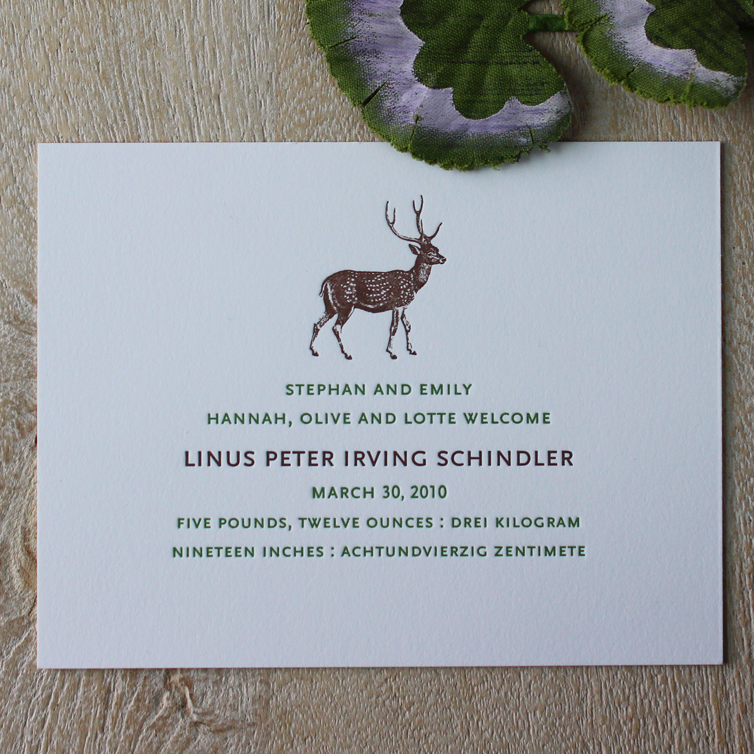 Deer Letterpress Baby Announcement