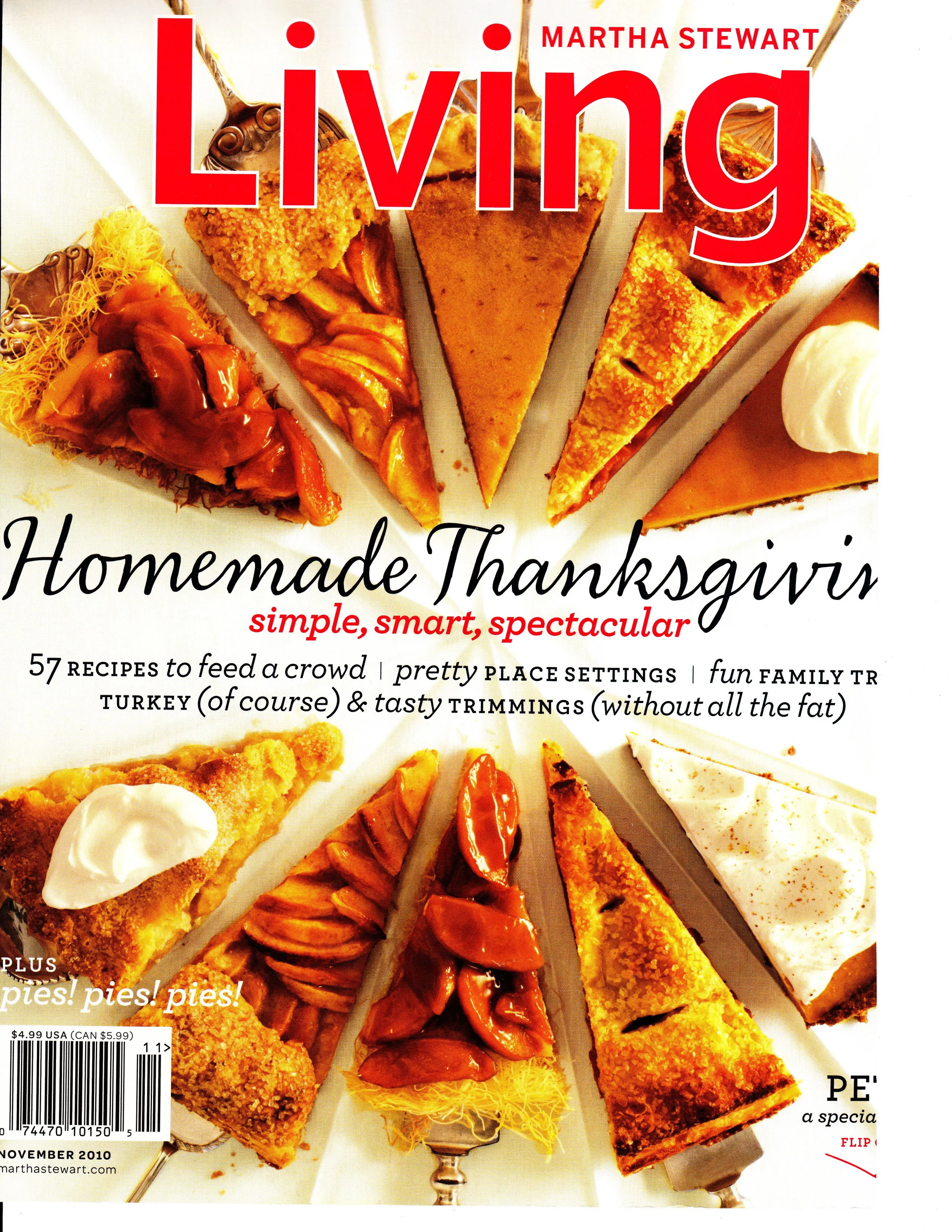 2010 November MS Living.jpg