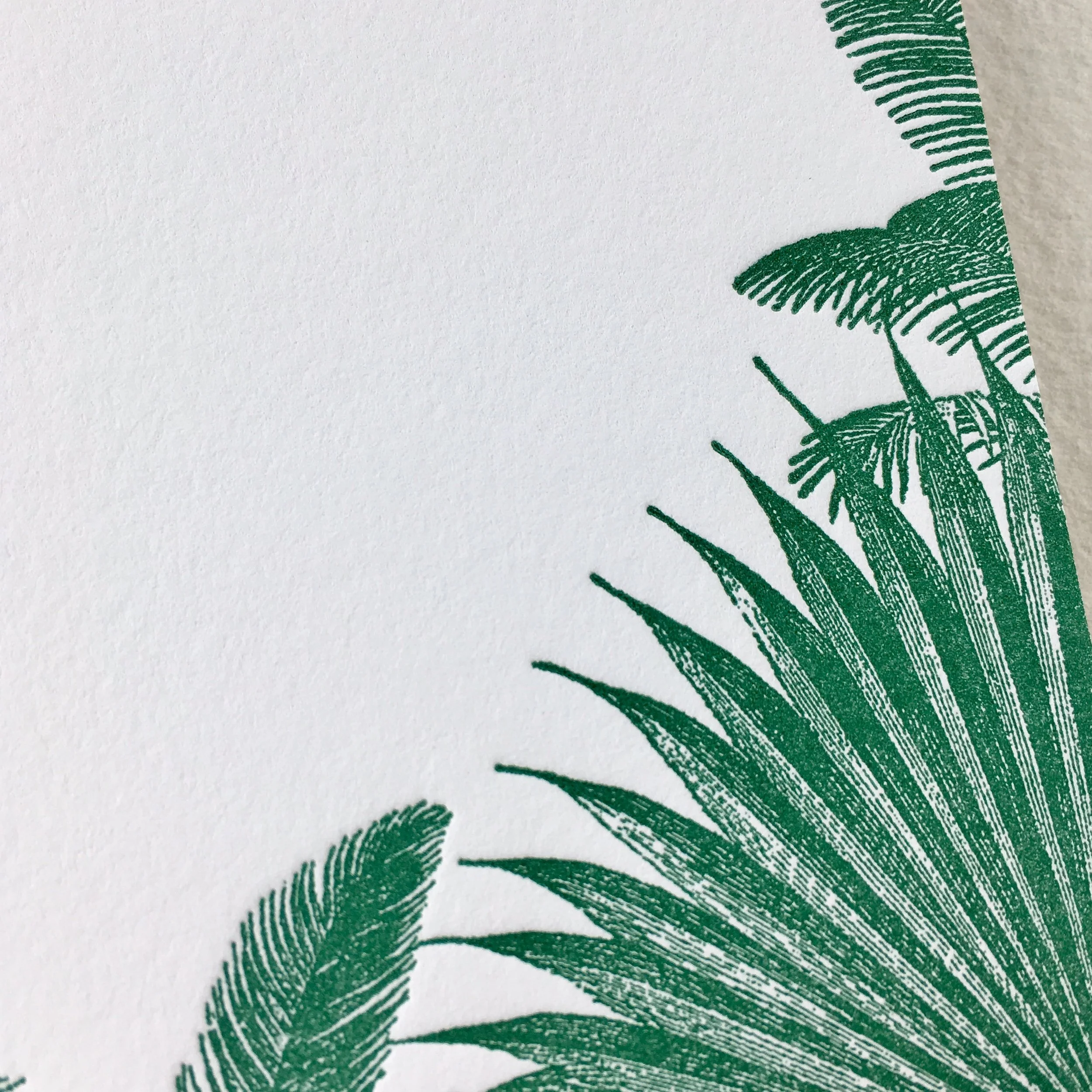 Notes_Palms_3.jpg