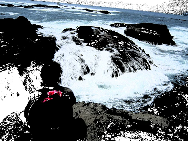 5.24.11 > My Favorite Wave > Viaje De Amor > Graphic Design > NOT AVAILABLE FOR PURCHASE