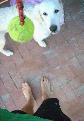 9.7.10 > Anticipation > Places I Like To Stand > Photo > San Diego, CA. > NOT AVAILABLE FOR PURCHASE