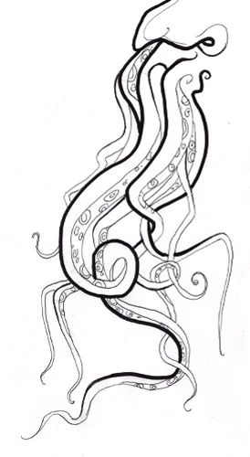 10.9.09 > Octostash > 8.5x11 inch Pen Drawing on paper > NOT AVAILABLE FOR PURCHASE
