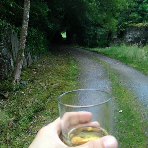 9.10.15 > Whiskey Adventures > Photo > Oughterard > Giraffe Necks > NOT AVAILABLE FOR PURCHASE