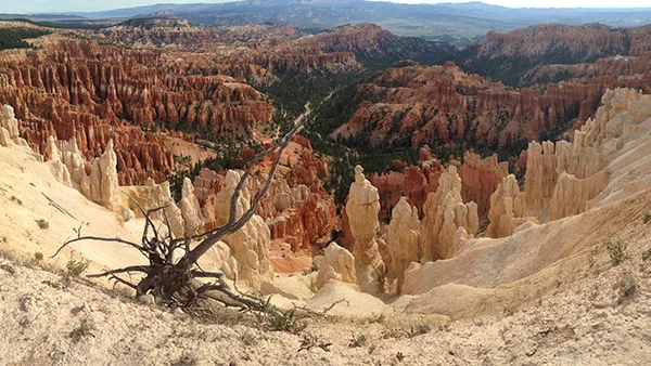 9.27.15 > Inspiration Point > Photo > Bryce Canyon, UT > Giraffe Necks > NOT AVAILABLE FOR PURCHASE