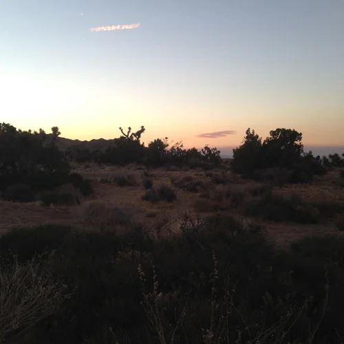 7.11.16 > Waiting > Photo > Joshua Tree, CA. > NOT AVAILABLE FOR PURCHASE