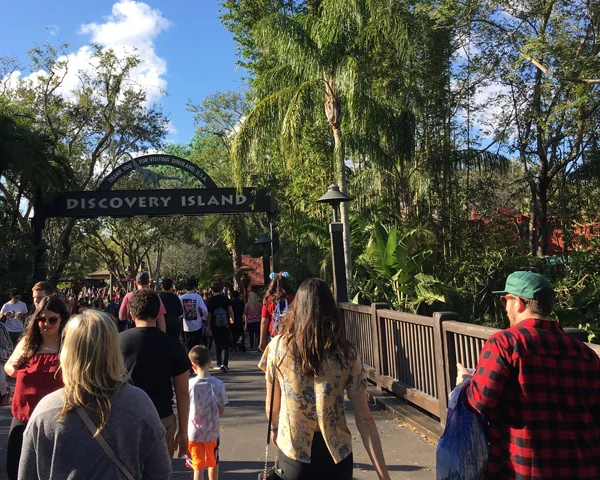 11.21.17 > Discoveries I > Photo > Disney World > NOT AVAILABLE FOR PURCHASE