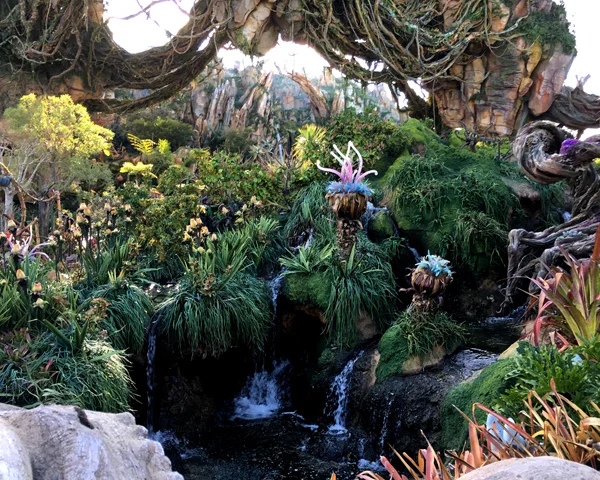 11.24.17 > Footprint II > Photo > Disney World > NOT AVAILABLE FOR PURCHASE