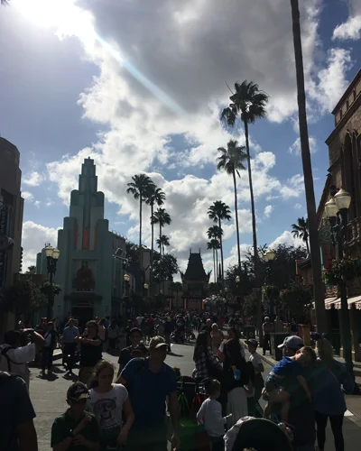 11.29.17 > Rolling II > Photo > Disney World > NOT AVAILABLE FOR PURCHASE