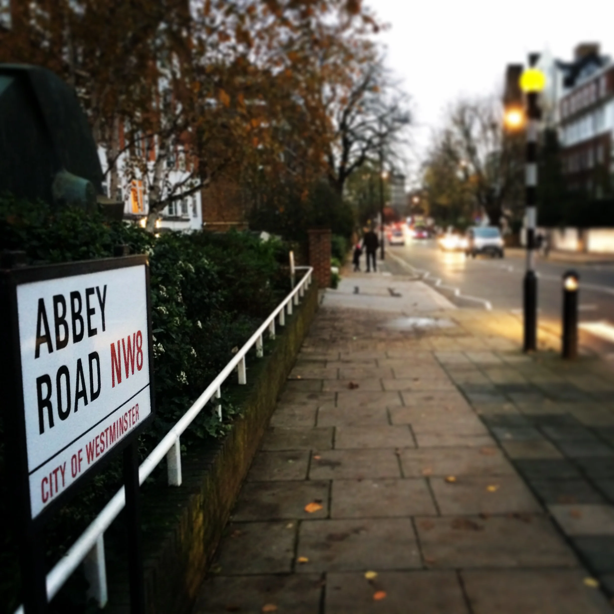 November in London, Pre-Training Start Run