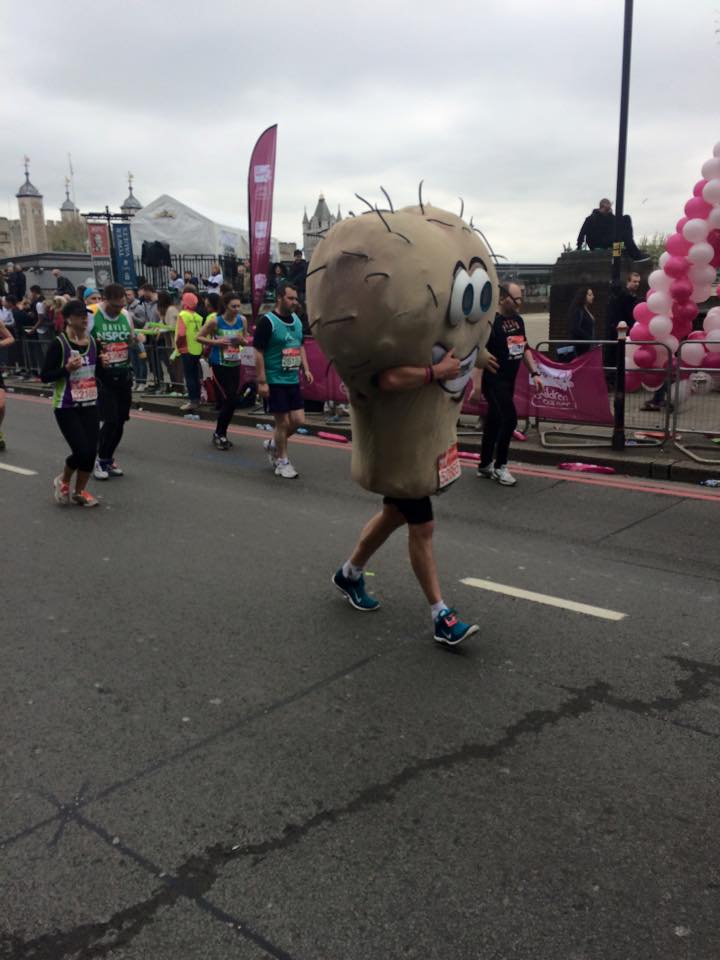 testicallm.jpg